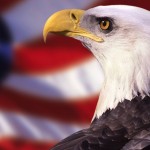 american-eagle