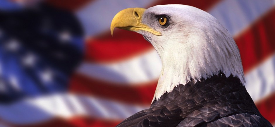 american-eagle