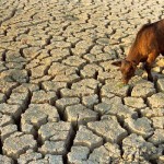 drought-water-scarcity-15