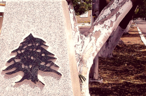 El cedro libanés.