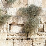 Al Aqsa: desmontando el peligroso mito antisemita de la Unesco