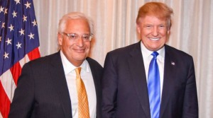 david-friedman-trump